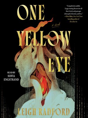 cover image of One Yellow Eye